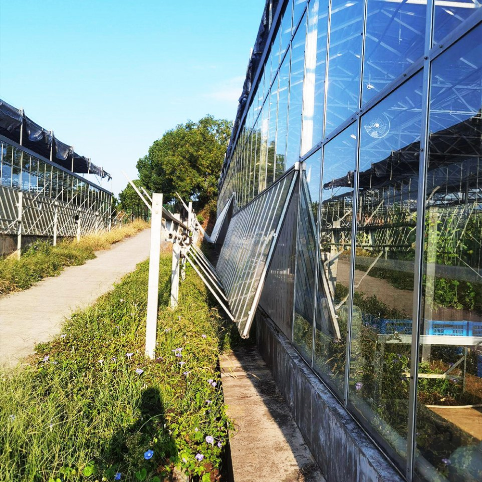 Ai-Controlled Glass Greenhouse with Smart Climate and Lighting Integration