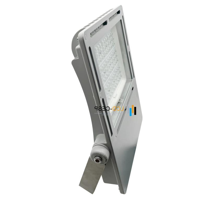 Marine Grade Anti-Corrosion LED Floodlight IP67 IP68 316 Stainless Steel 50W-1200W 4000K 5000K 6000K CE Approved for Ship, Deck, Port, Factory, Outdoor Lighting