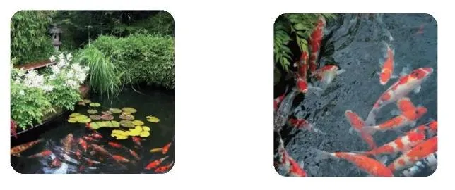 Filter Features View 1