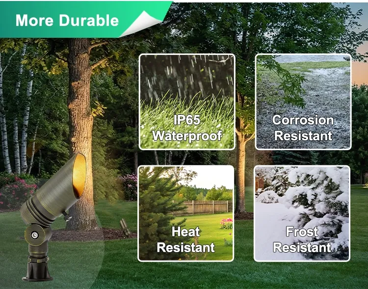 Low Voltage Lighting