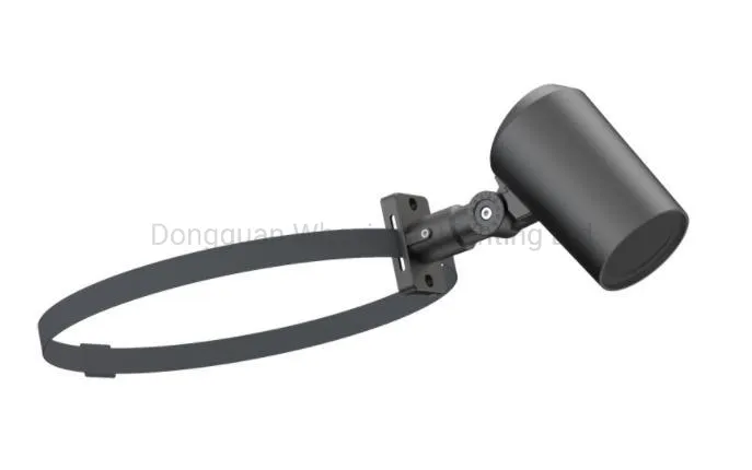 Landscape Spot Light Details