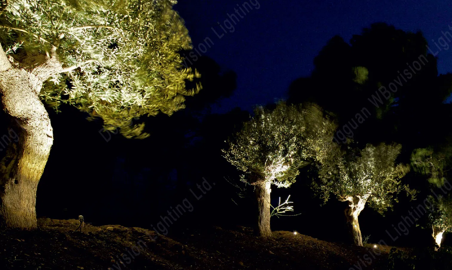 Low Voltage 24V Outdoor LED Landscape Spot Light IP66 10W CE RoHS