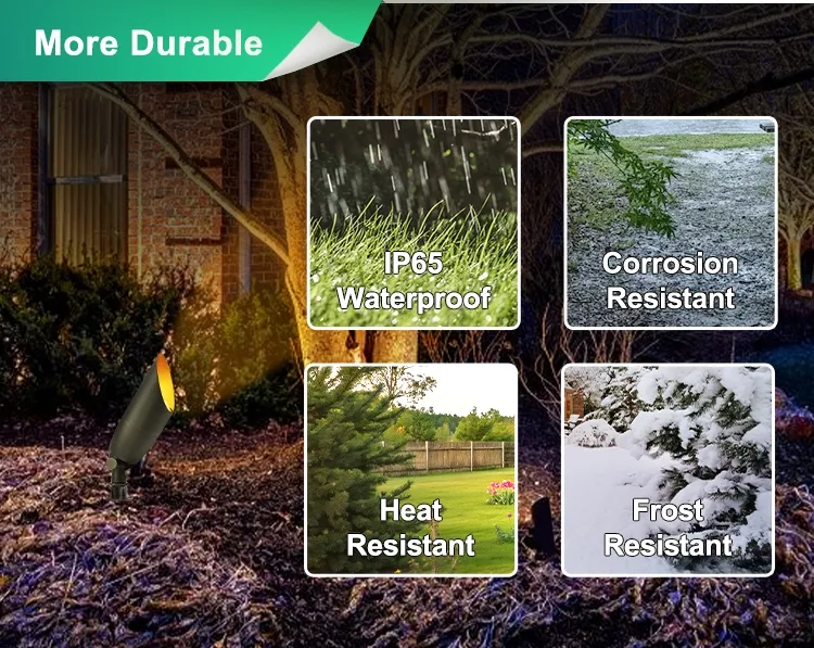 Landscape Spotlights 6