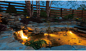 Safety Lighting Standards