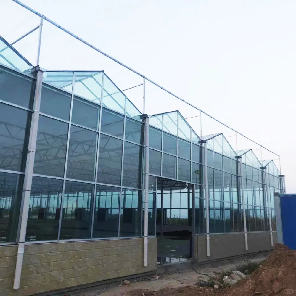 Ai-Controlled Glass Greenhouse with Smart Climate and Lighting Integration