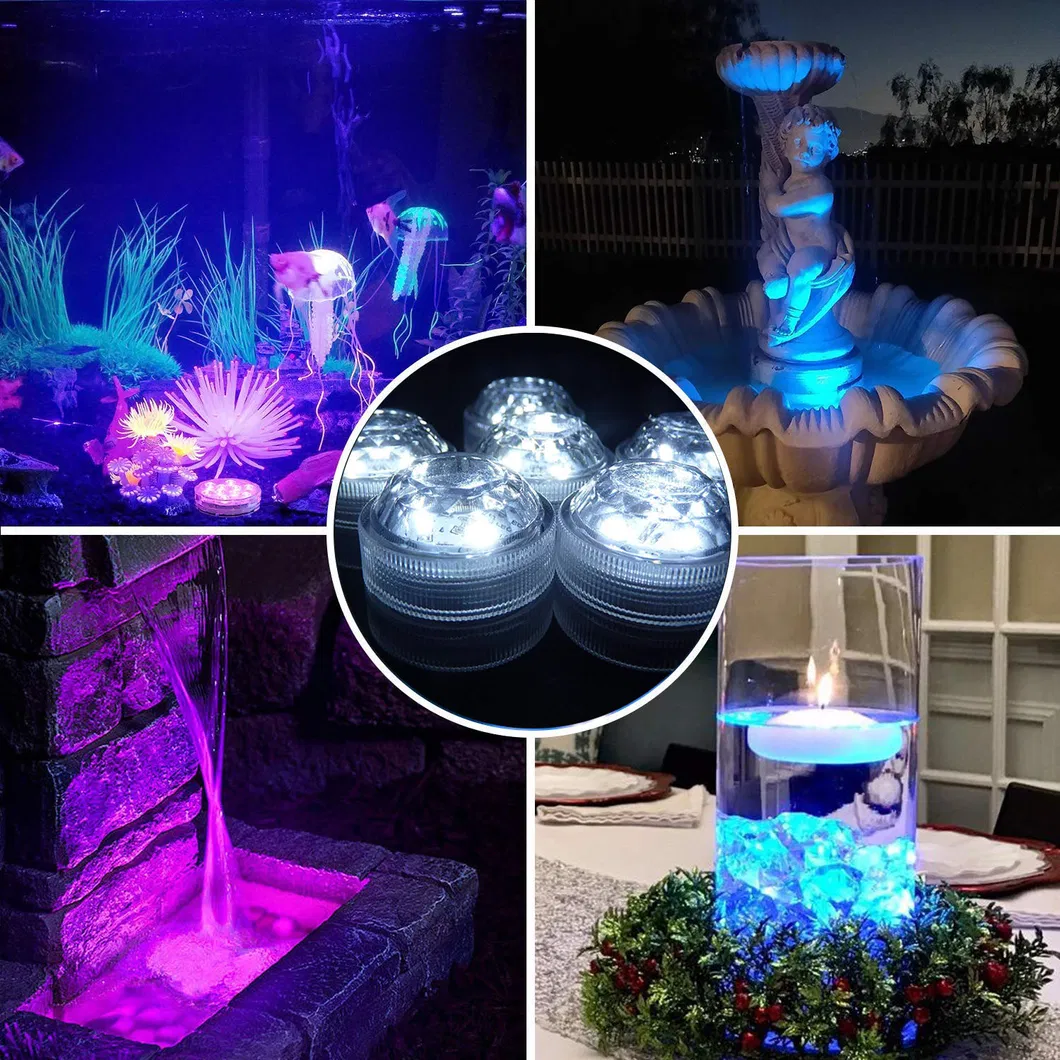 Submersible LED Light