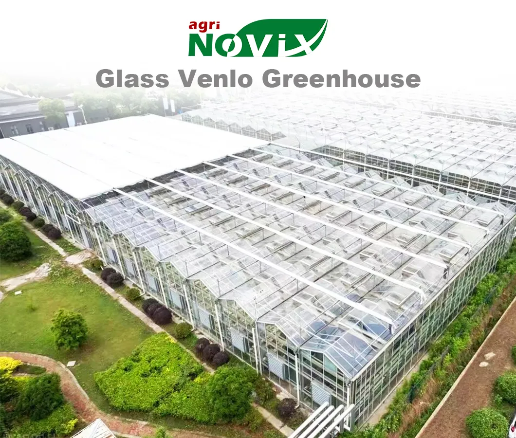 Glass Greenhouse Overview