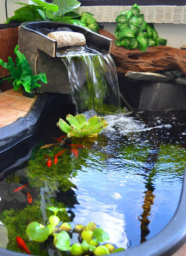 Household Low-Power Fish Pond Pumping and Filtration Circulation