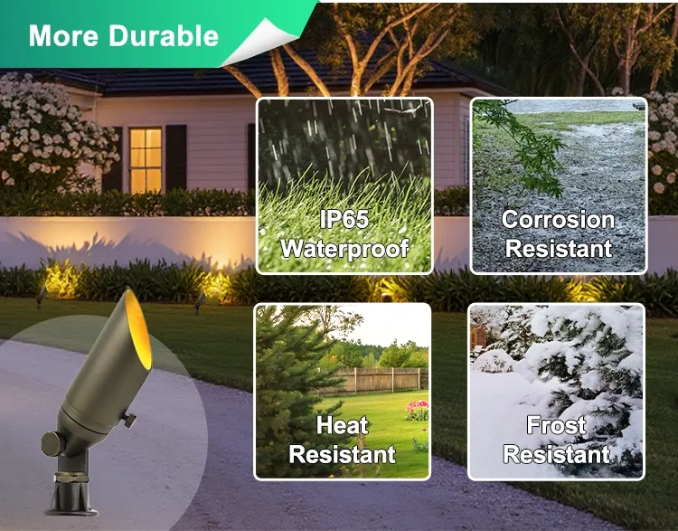 Outdoor Lighting Installation View