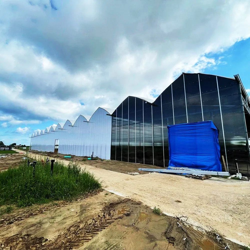 Ai-Controlled Glass Greenhouse with Smart Climate and Lighting Integration