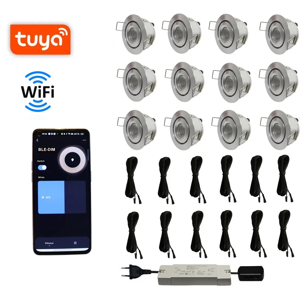 12LED WIFI TUYA Dimmable Outdoor Down Lights Ip44 Dimmable 12v Led Downlight Mini Recessed Led Spotlights Sets