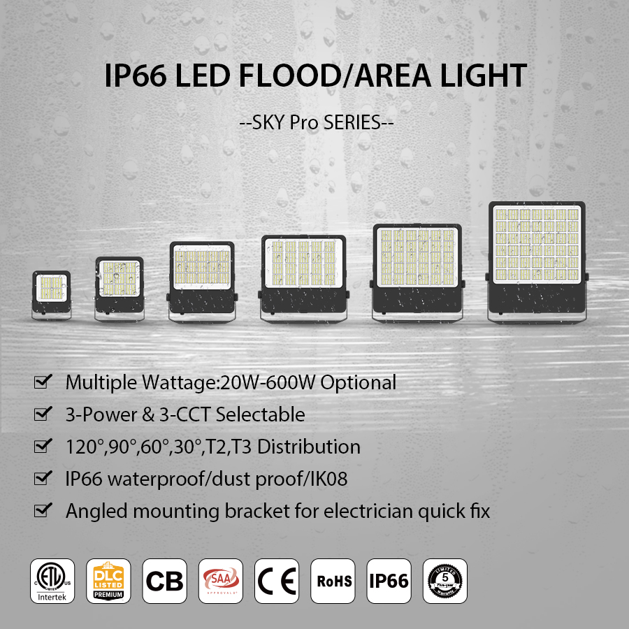 IP66 Waterproof 140LM/W 50W 100W 150W 200W 250W 300W 400W 500W 600W Outdoor LED Flood Lights