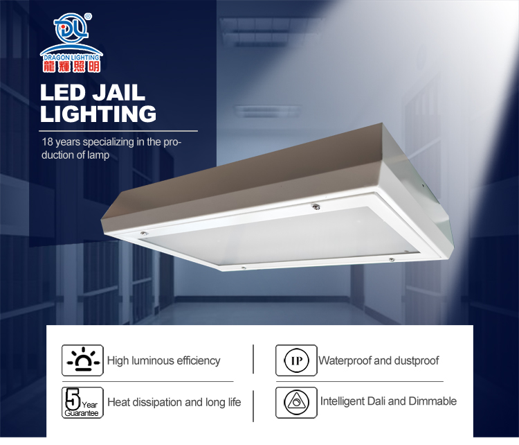 Ip65 Waterproof Lighting Led Vapor Tight Vandal Resistant Prison Tri-proof Light