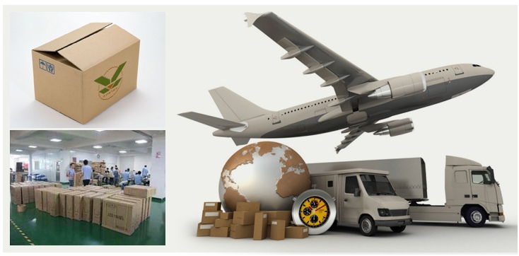 Packaging & Shipping Details