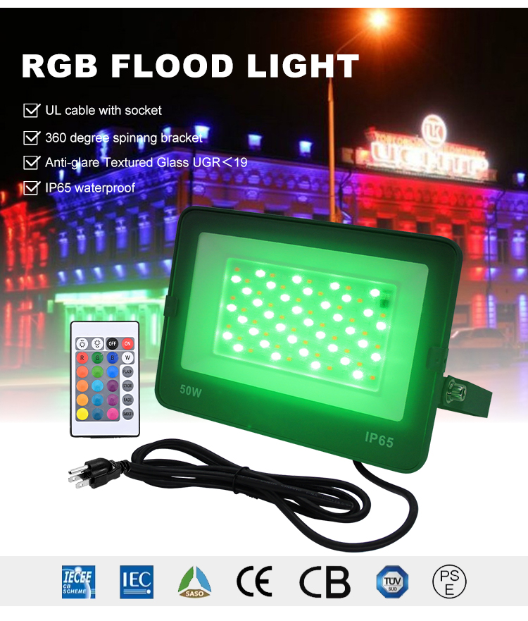 LED Floodlight Detail 1