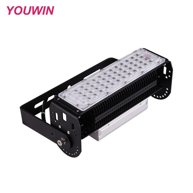 YOUWIN Customizable 50W Outdoor LED Tunnel Lamp With High Heat- Conductive Aluminum Housing IP65 for Stadiums Roads Hot Sale