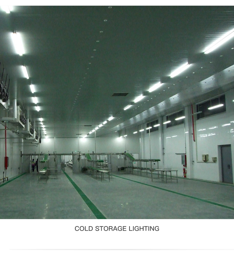IP66 Tri-proof Led Light 130Lm/w 40W 4Ft 120cm 60W Garage Parking Lot LED vapor Tight Fixture Waterproof Tri-proof Led Light