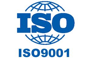 Safety and Quality Certificate 1