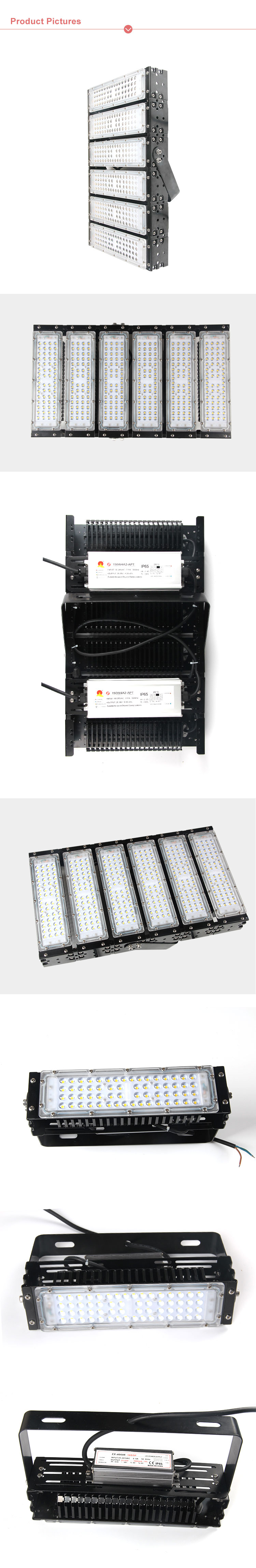 Module LED Flood light angle view