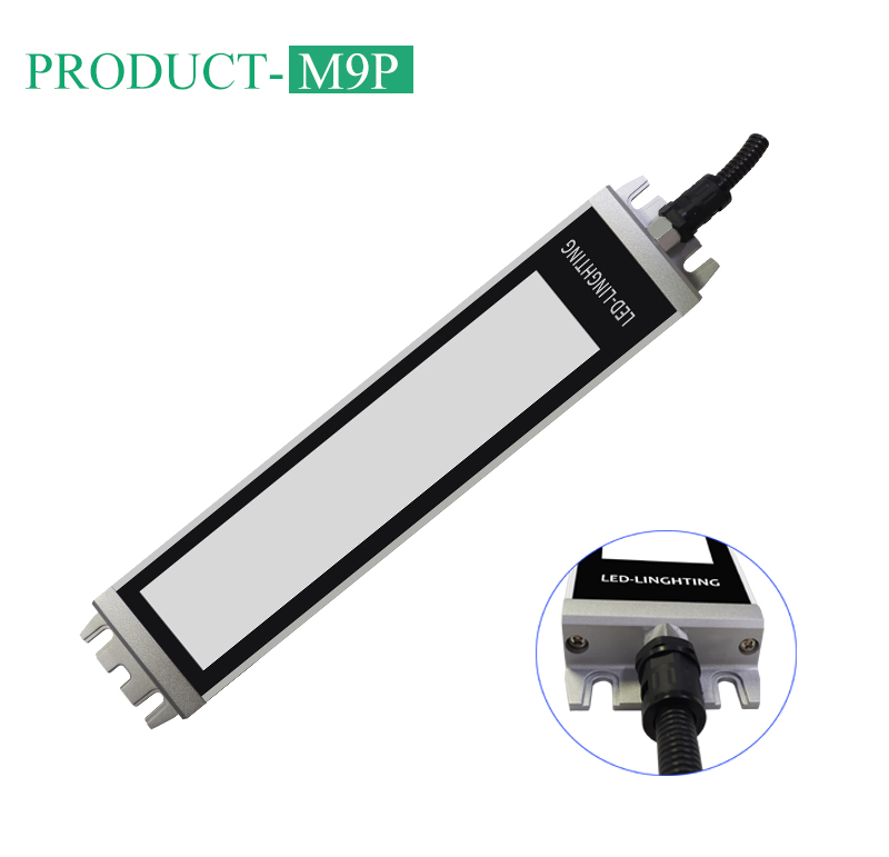 Related Product 5