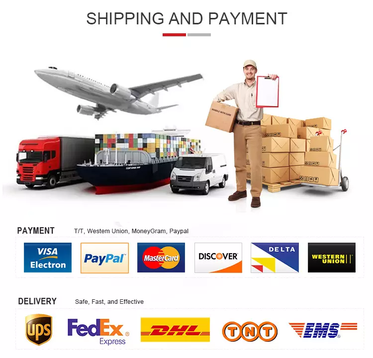 Shipping and Payment Methods
