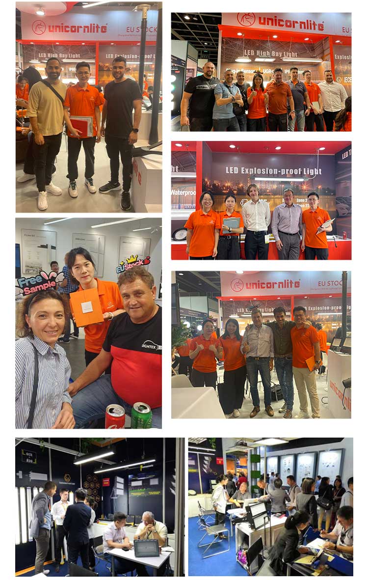 Exhibition History