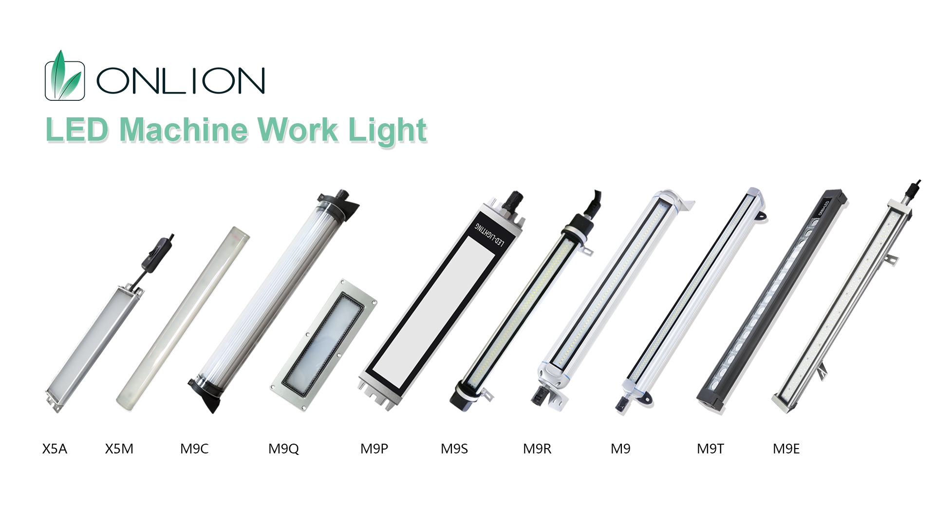 Related Product Spotlight
