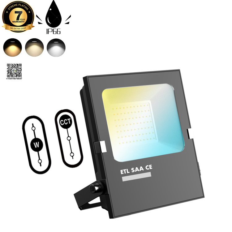 Led Flood Light Show 1