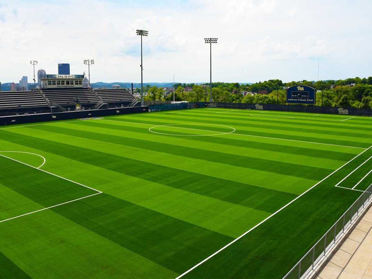 Artificial Turf for School