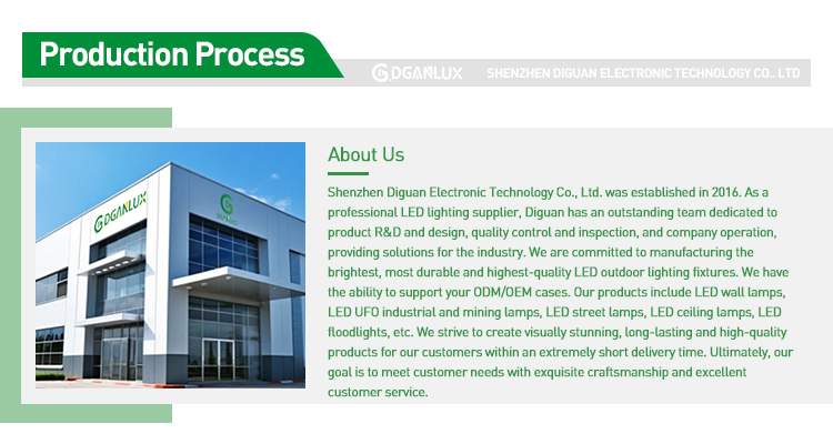 Company Introduction Graphic