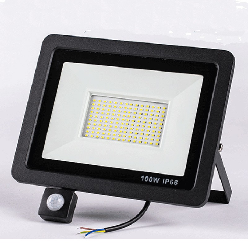 Outdoor LED Floodlight with PIR Motion Sensor 10W 100W Cold Warm White Reflective Waterproof IP66 for Garden Induction Lighting
