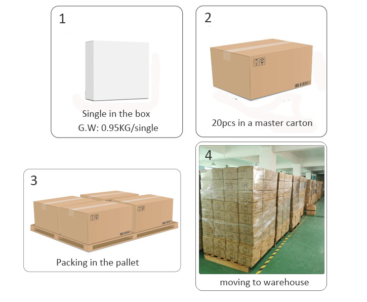Standard packing box
