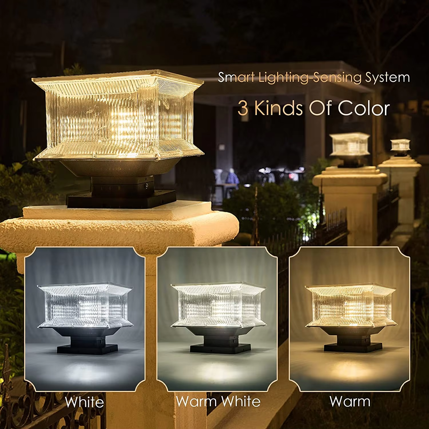 Product Details 7