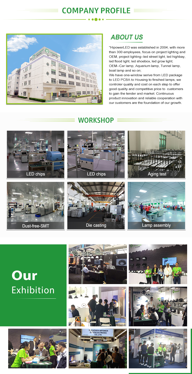 Company Showcase