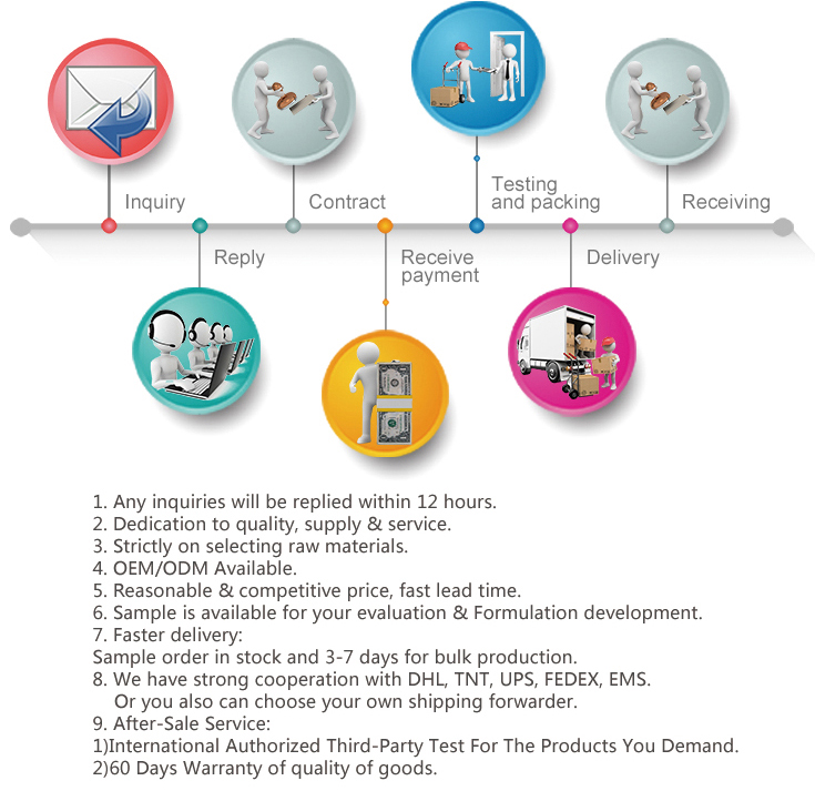 Our Services