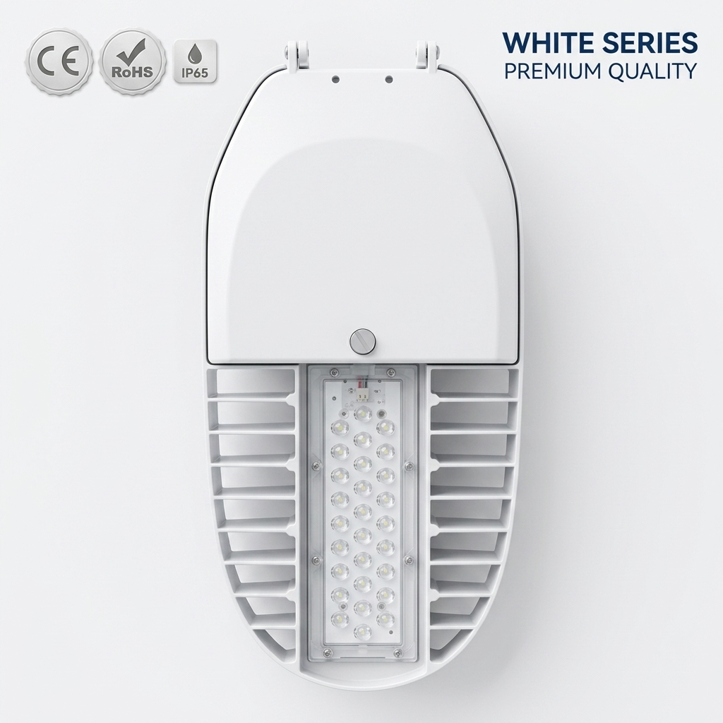 RoHs CE IP65 IK08 30W 50W 80W 100W Outdoor Waterproof LED White Street Lights Dusk To Dawn With Smart Sensor