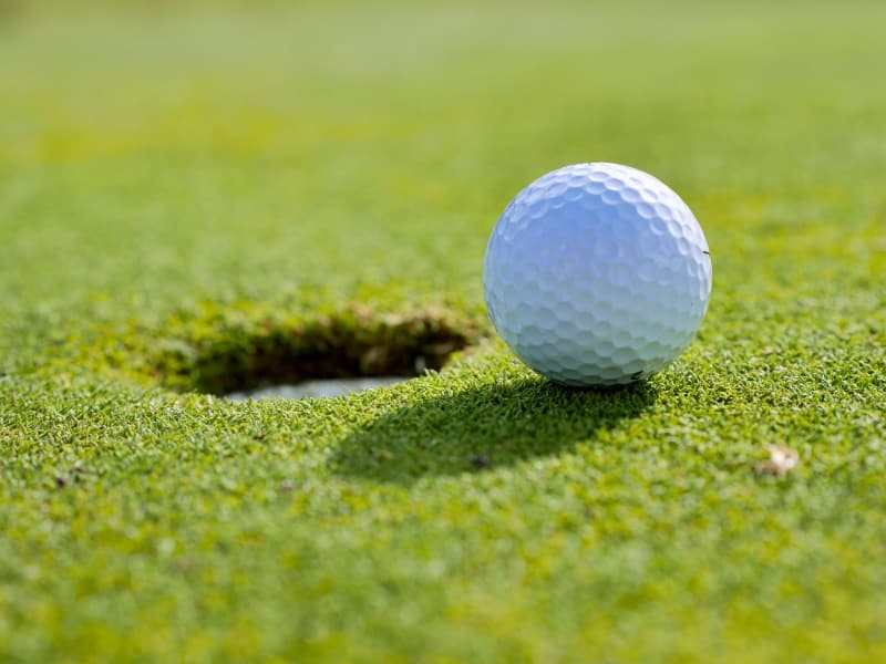 Fake Grass for Golf Course