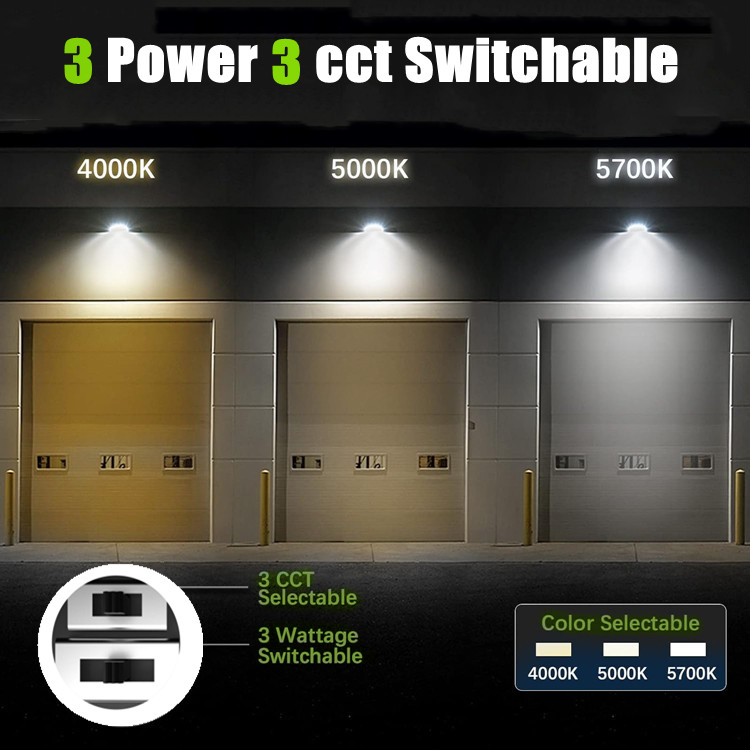 Led Flood Light Show 2