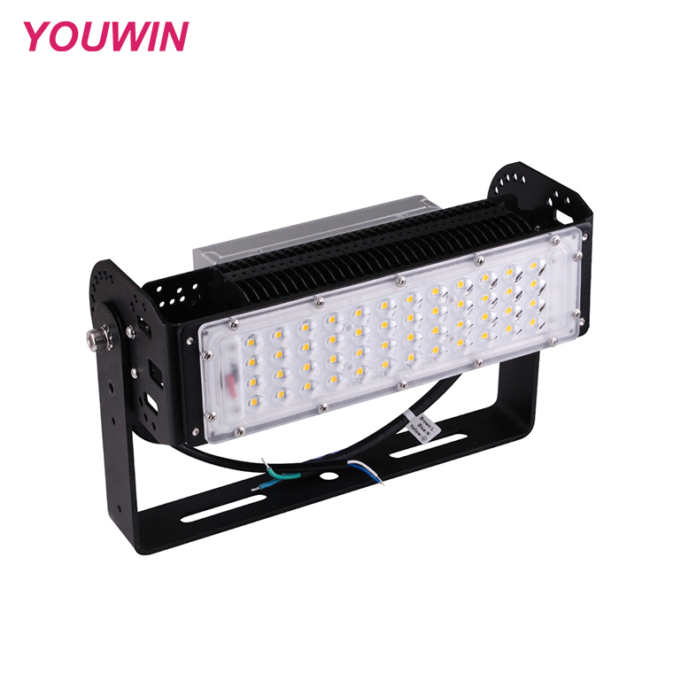 YOUWIN Customizable 50W Outdoor LED Tunnel Lamp With High Heat- Conductive Aluminum Housing IP65 for Stadiums Roads Hot Sale