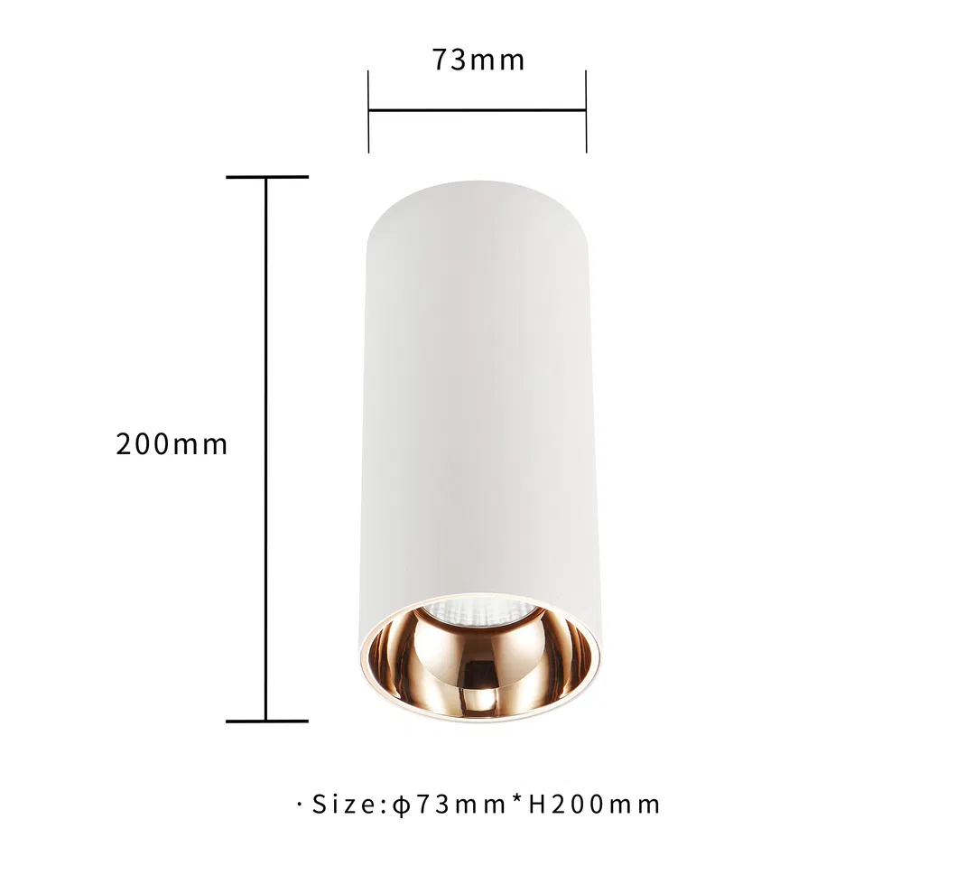 Product Size: Indoor Ceiling Light COB Surface Mounted Downlight