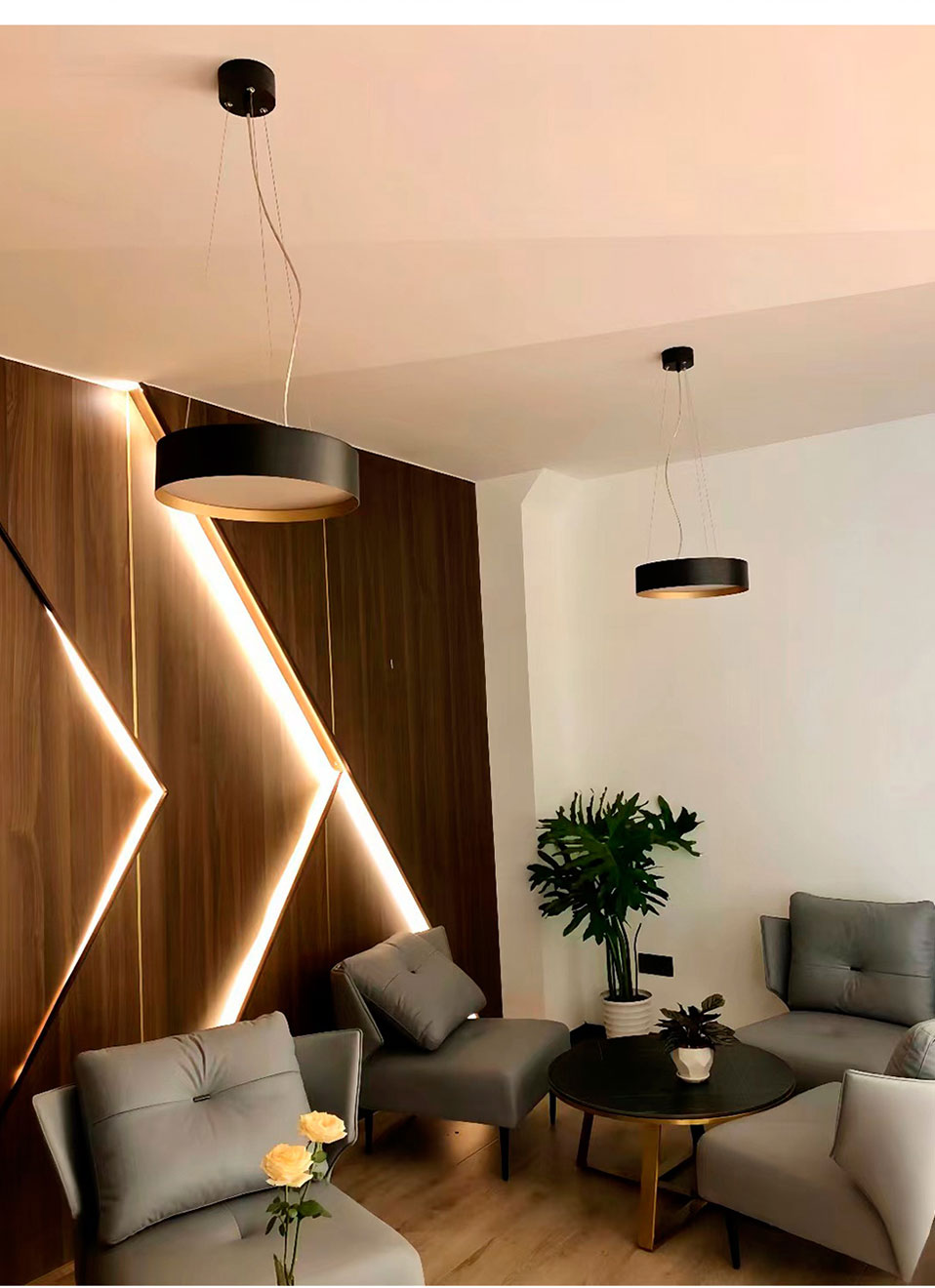 Ceiling Light Application Scene 2