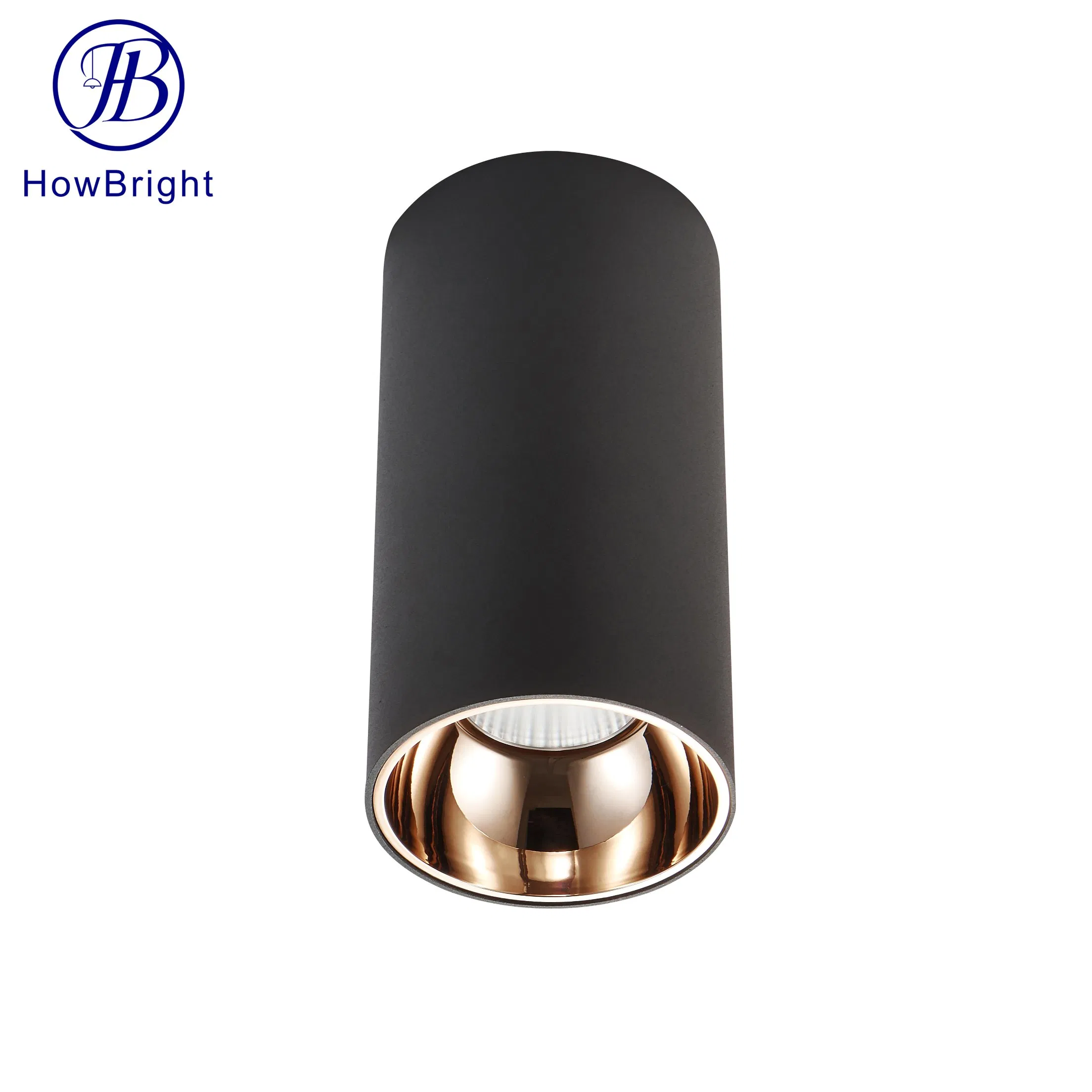 Aluminum 15W LED Spotlight Indoor Ceiling Light COB Surface Mounted Downlight for Bedroom/Living Room/Hotel