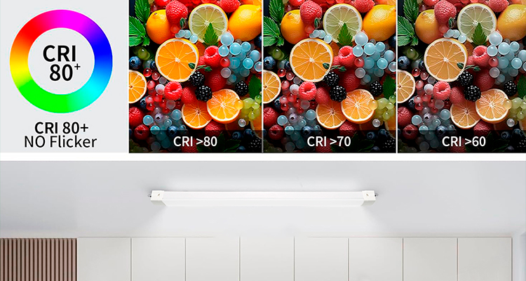 Product Detail 8