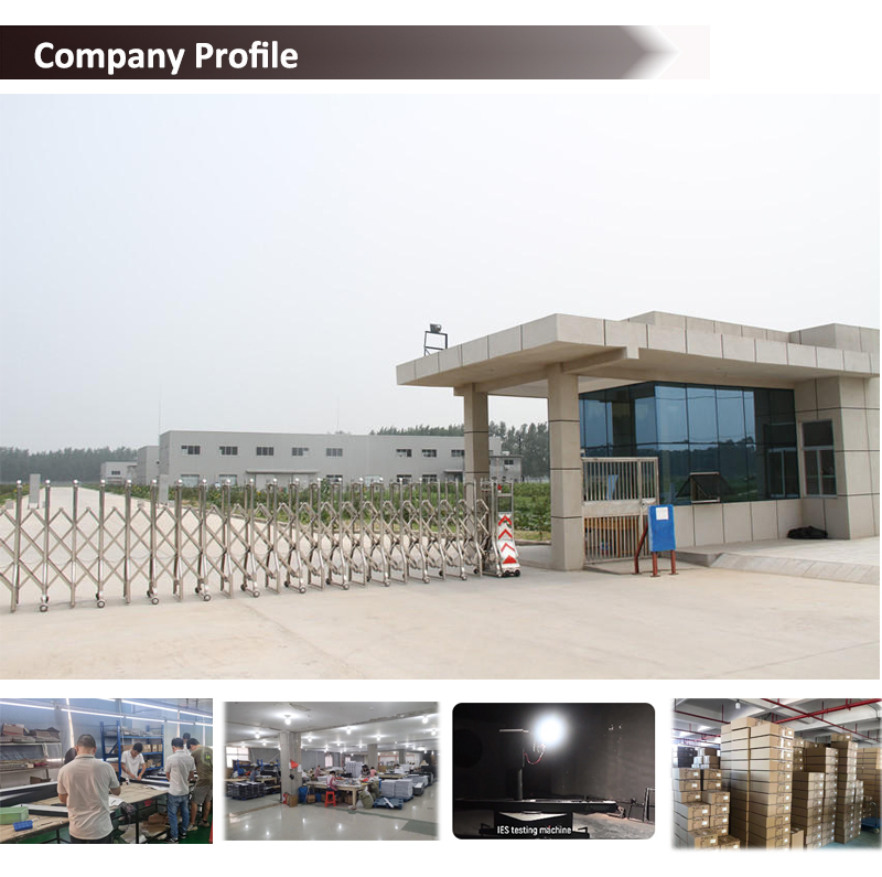 Company Profile