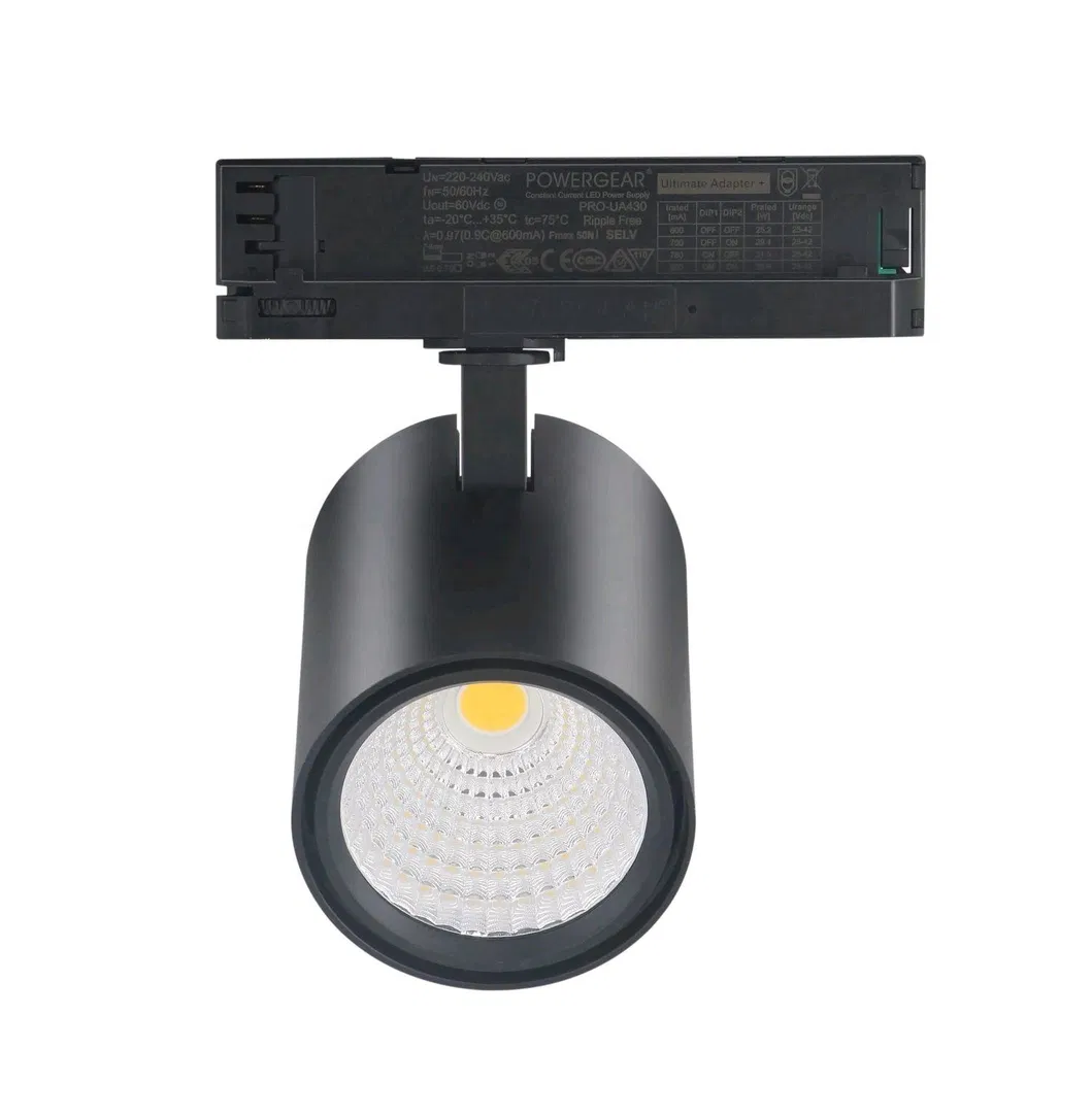 Indoor Down Lighting 4 Inch 15W COB LED Recessed Downlight Dimmable Lamp Housing
