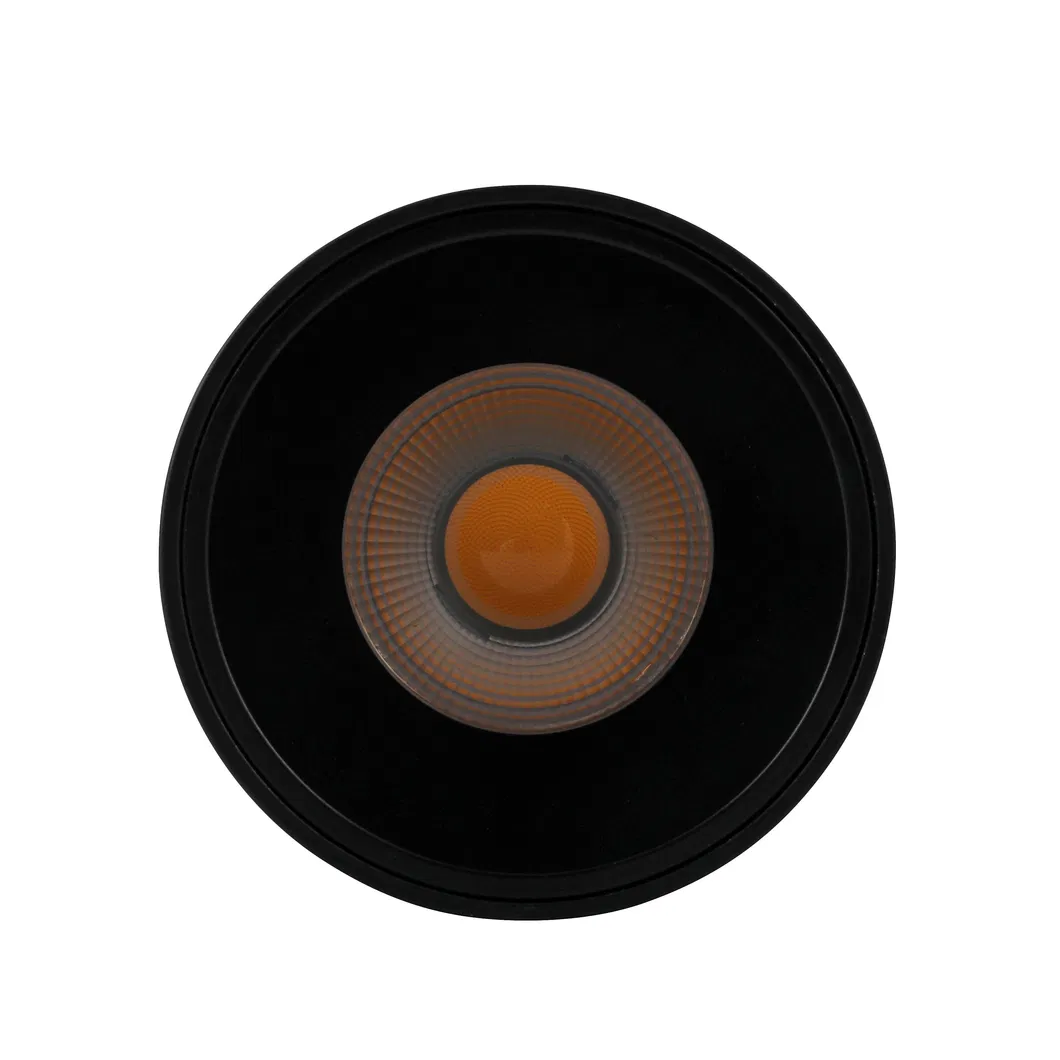 IP44 Aluminum COB Downlight Dimmable LED Indoor Ceiling Living Lamp