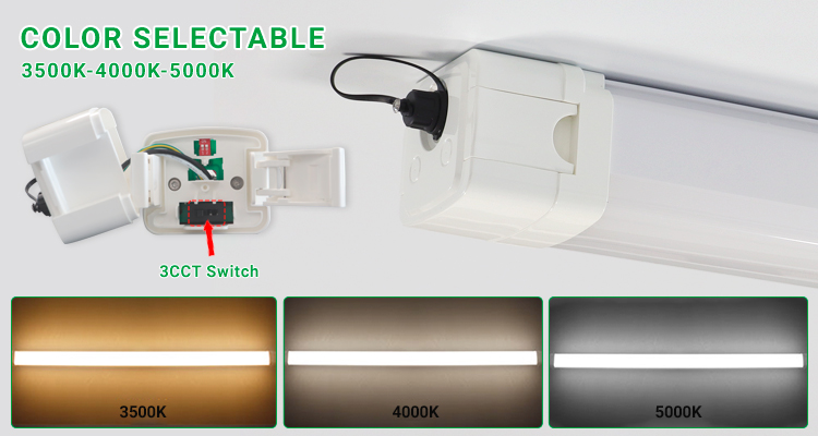 Product Detail 4