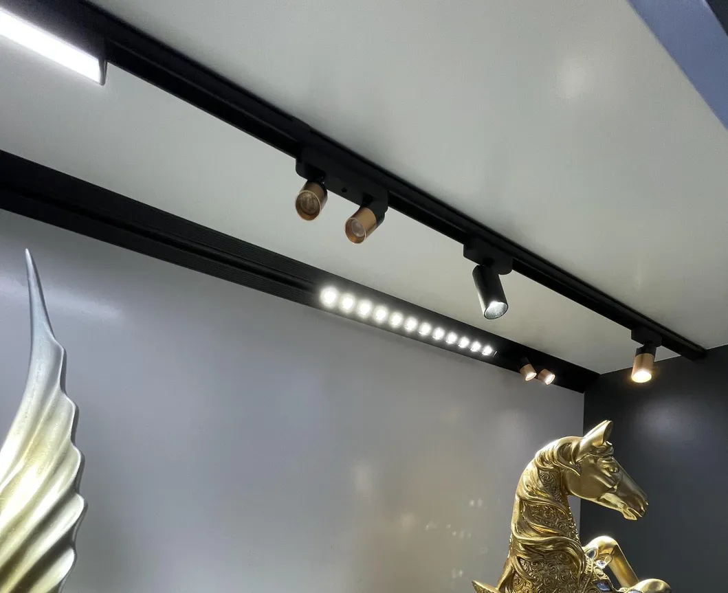 Surface DC24V Smart System Magnet Ultra Thin Mini Size Magnetic LED Track Light Spotlight for Home Showcase Luxury Jewelry Cabinet