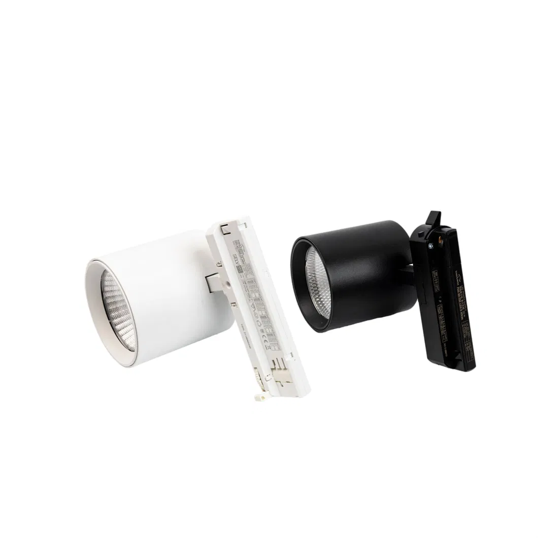 Detailed Spotlight Image 5