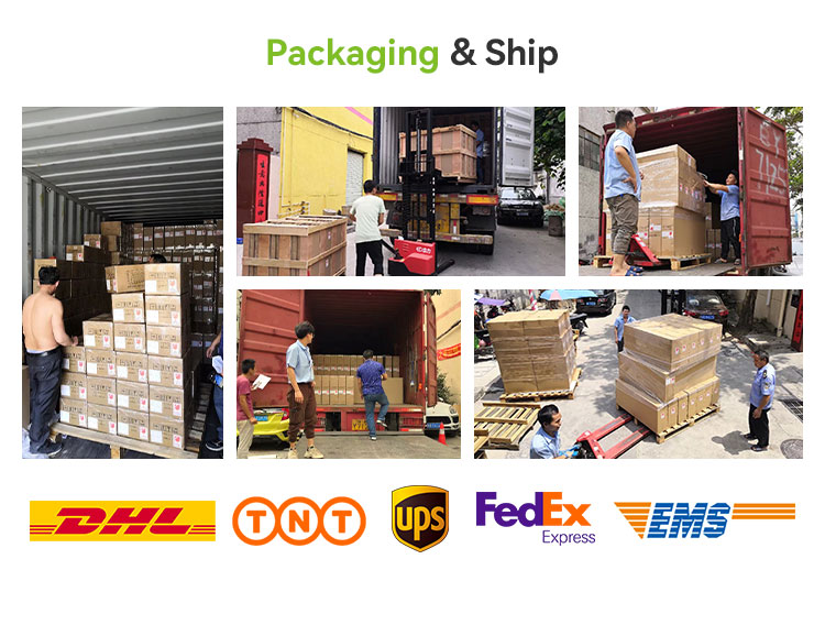 Shipping Info